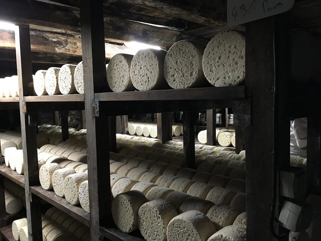 サヴォワ県の県庁所在地、シャンベリーにある地下トンネルを利用したカーヴで熟成されるトムたち。