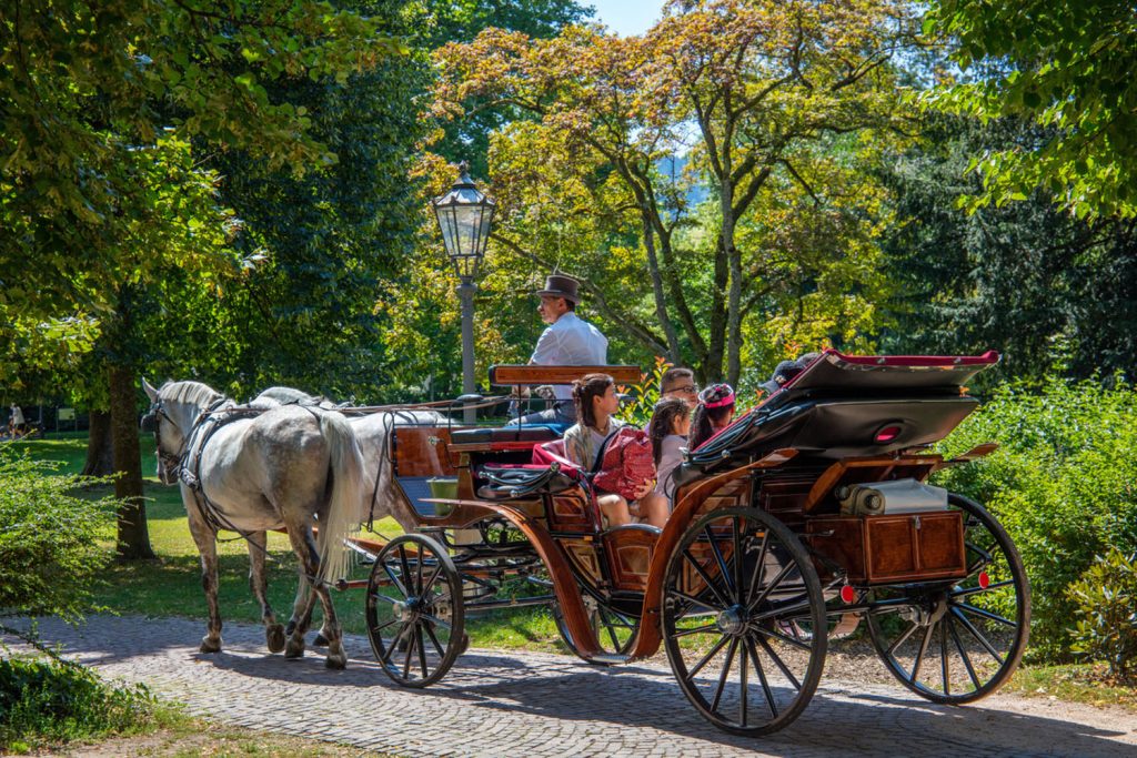 自然が広がる公園と馬車。©TMBW_Mende
